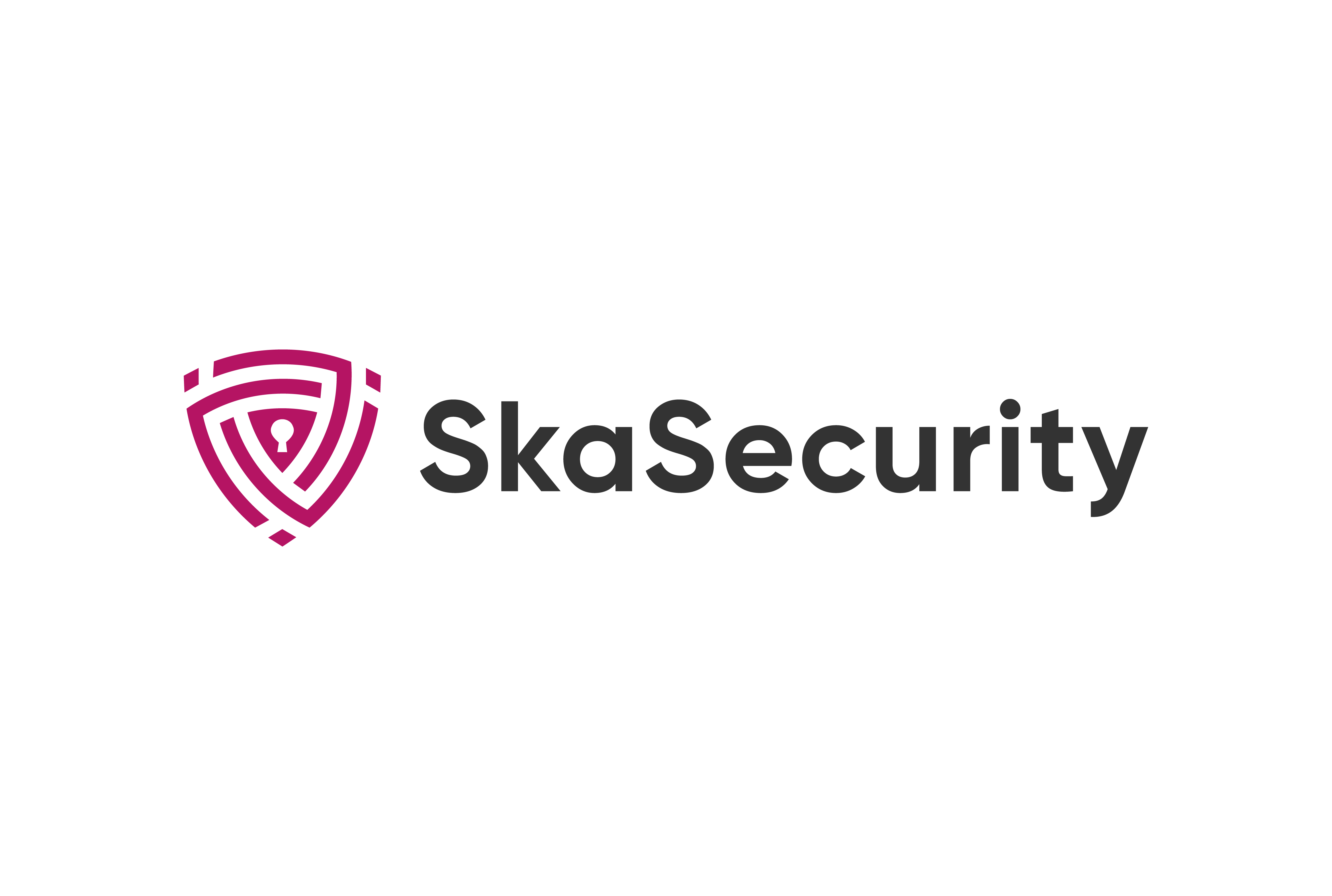 SkaSecurity Logo